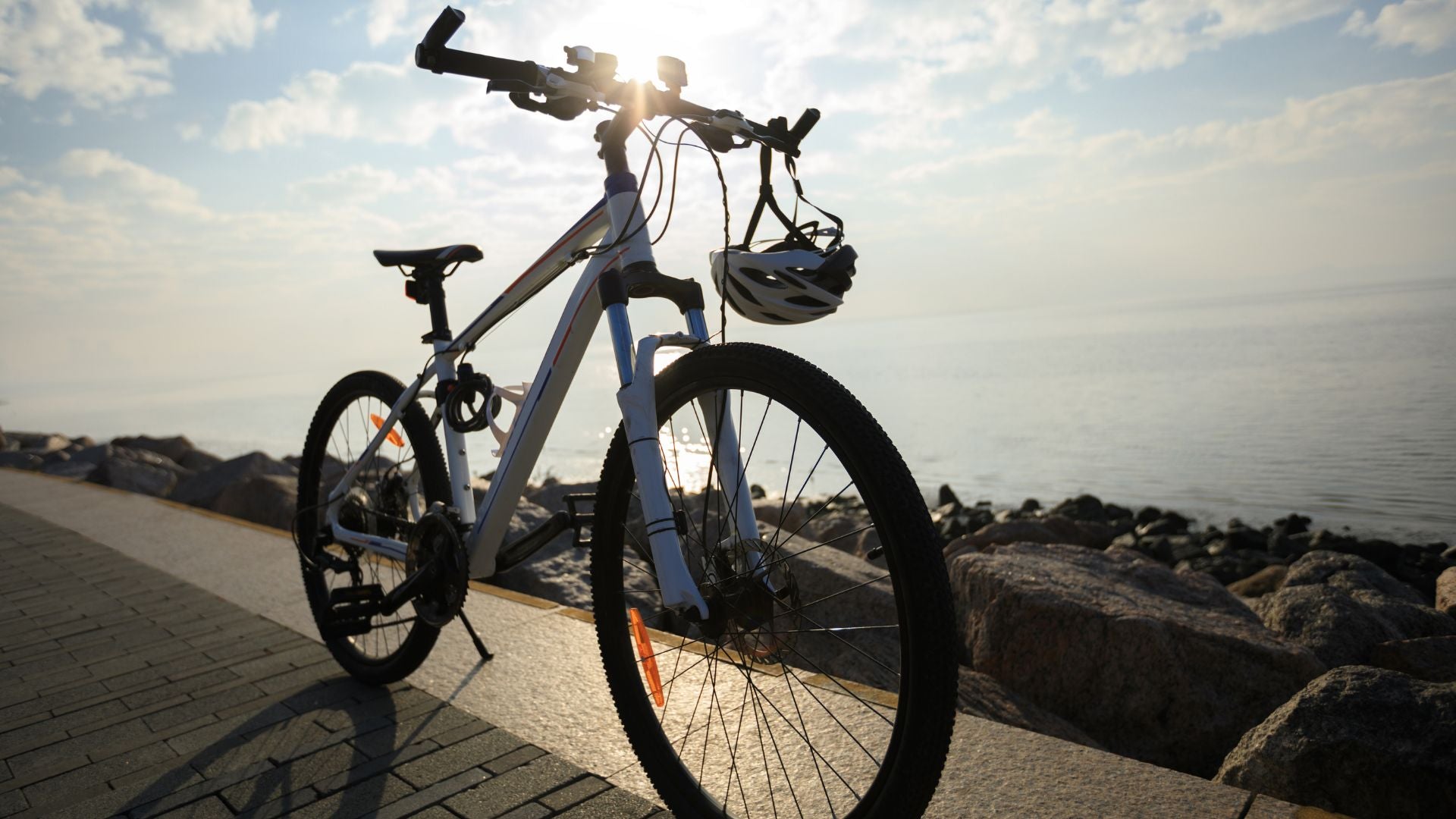 Bicycle Kickstand